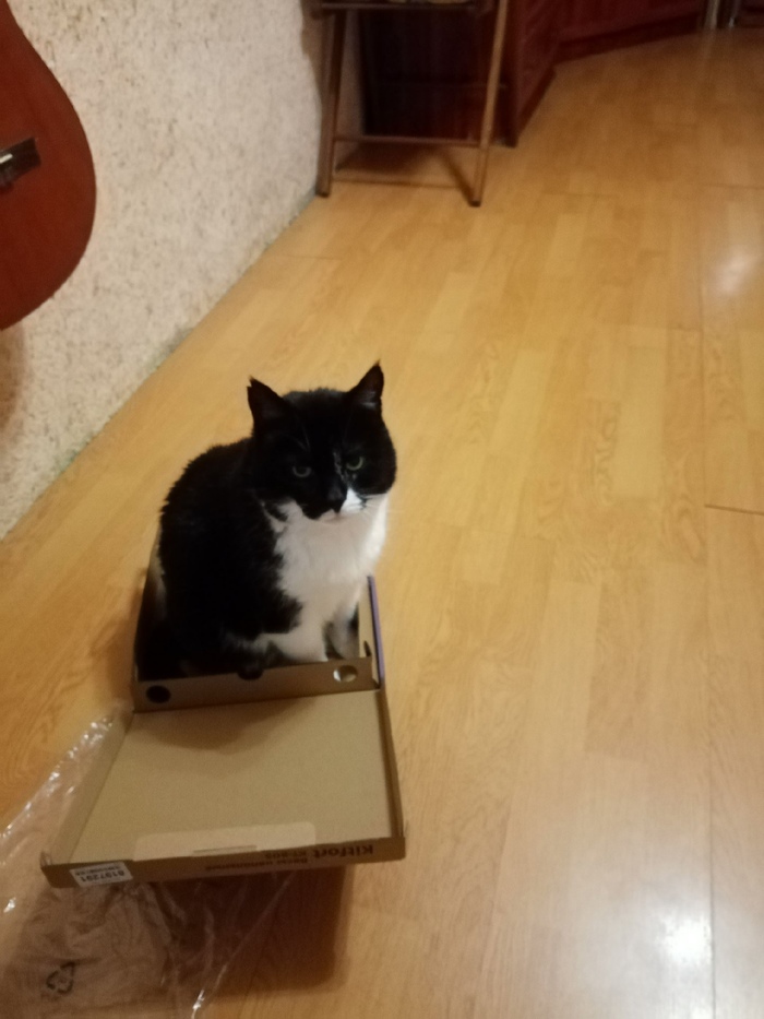 Да, удобно, отстань