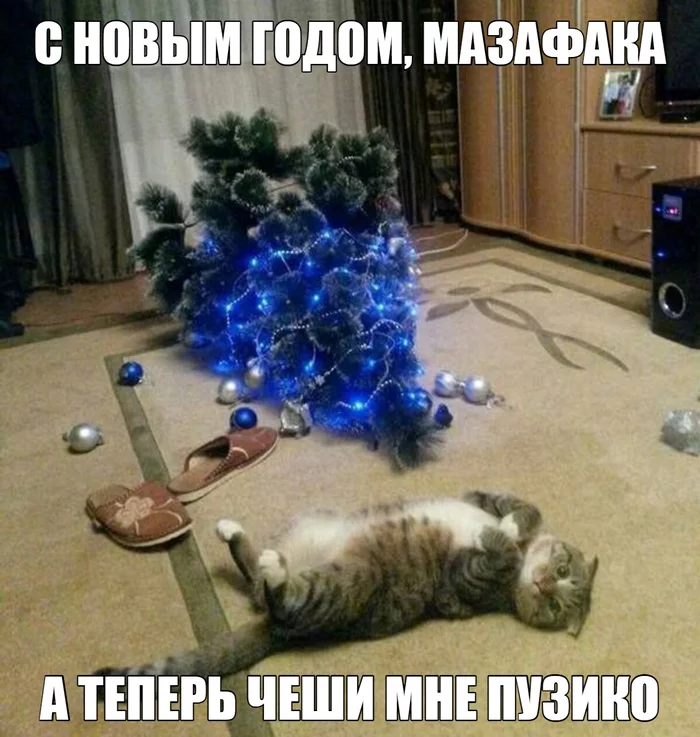 New Year atmosphere - cat, Memes, Christmas tree, New Year, Longpost