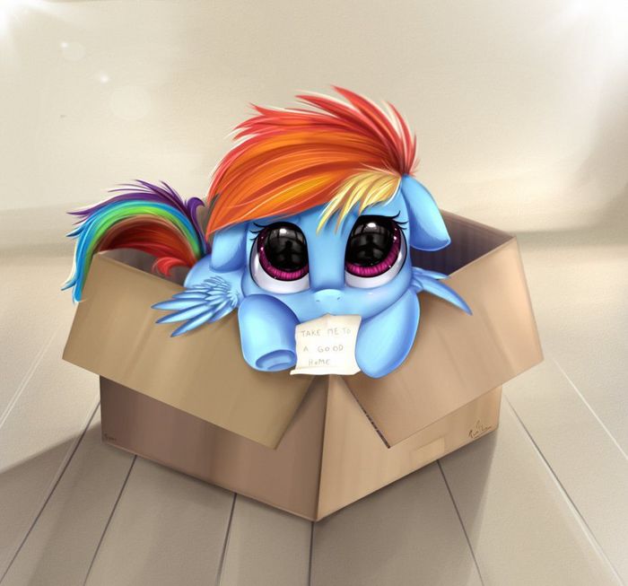  ,... My Little Pony, Ponyart, Rainbow Dash, Pridark