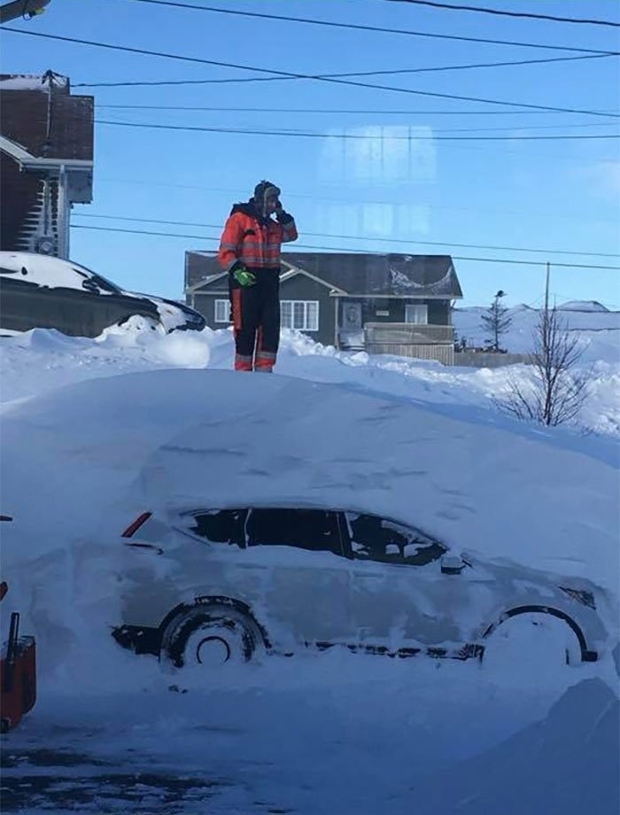 Did you order a snowball? - Snow, Snowfall, Canada, Images, Longpost