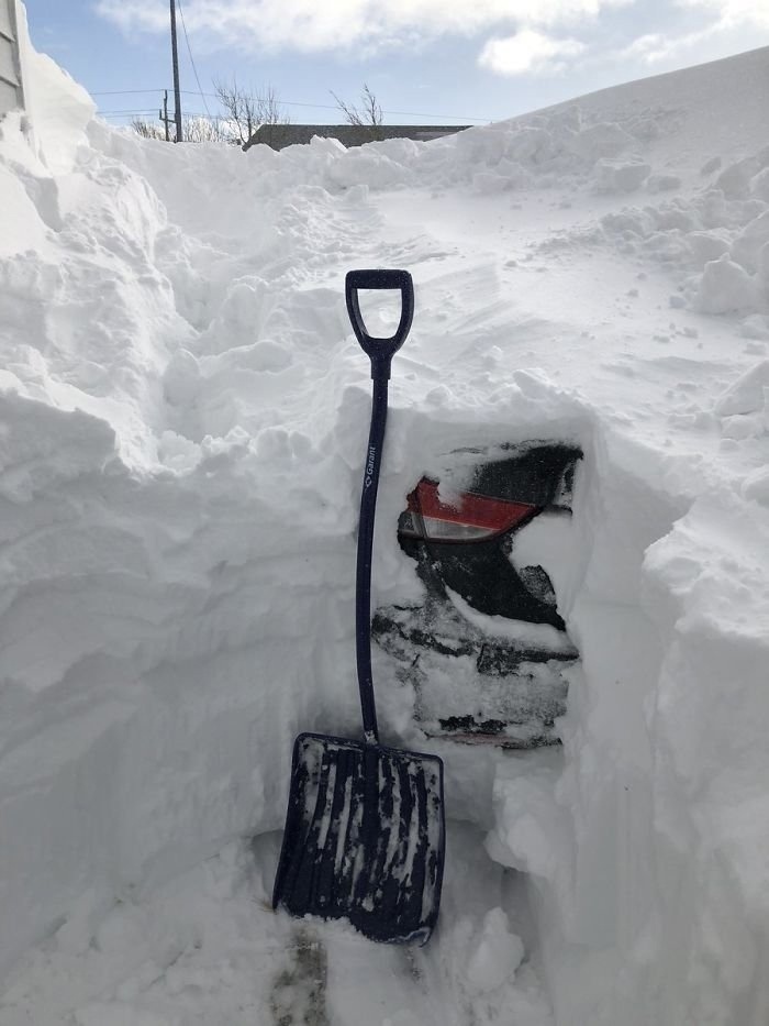 Did you order a snowball? - Snow, Snowfall, Canada, Images, Longpost