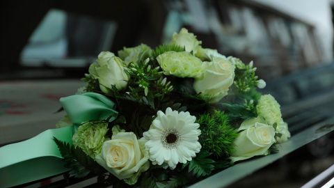 �������� �����