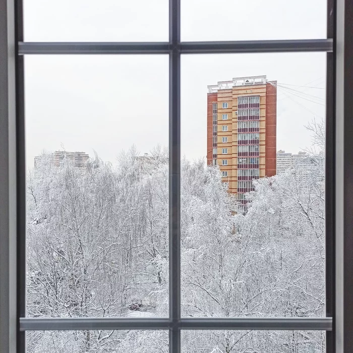 Just winter - My, Winter, Snow, The photo, Подмосковье, View from the window, Mobile photography