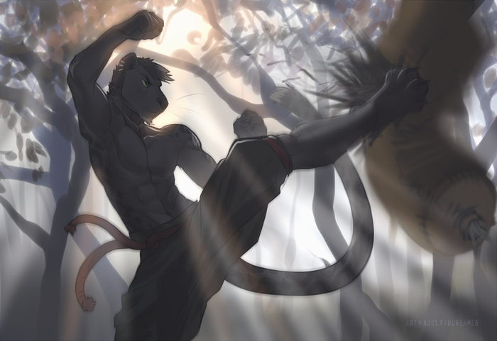 Тренировка