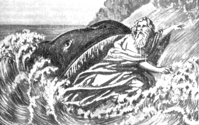 The whale swallowed a man and he survived, myth or reality? - Sperm whale, Swallowed, Story, City's legends, Truth or lie, Video, Longpost