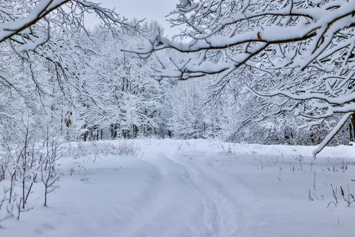 Winter - My, Winter, Snow, Nature, Dzerzhinsk, The photo, On foot, Video, Longpost