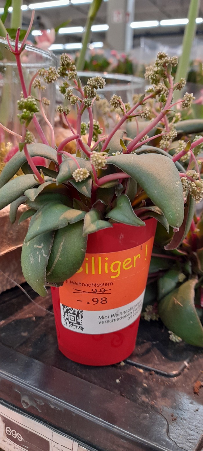 Атракцион невиданной щедрости