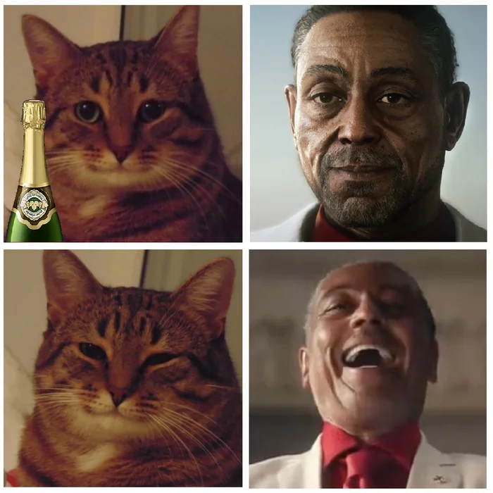 Briefly about how the Russian cat exported Russian champagne ... - My, Memes, Giancarlo Esposito, Absurd, Subtle humor, Strange humor, Humor