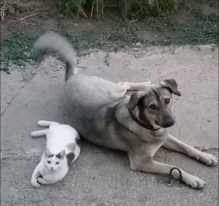 Что не съем то понадкусываю анекдот