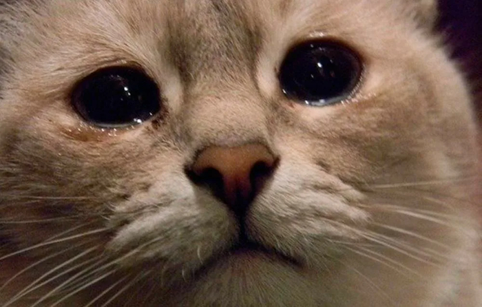 Вечер пятницы