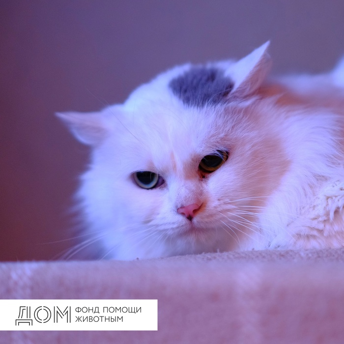 Лехин вестник что это. Смотреть фото Лехин вестник что это. Смотреть картинку Лехин вестник что это. Картинка про Лехин вестник что это. Фото Лехин вестник что это