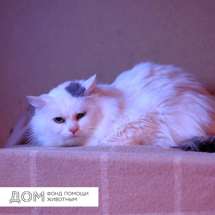Лехин вестник что это. Смотреть фото Лехин вестник что это. Смотреть картинку Лехин вестник что это. Картинка про Лехин вестник что это. Фото Лехин вестник что это