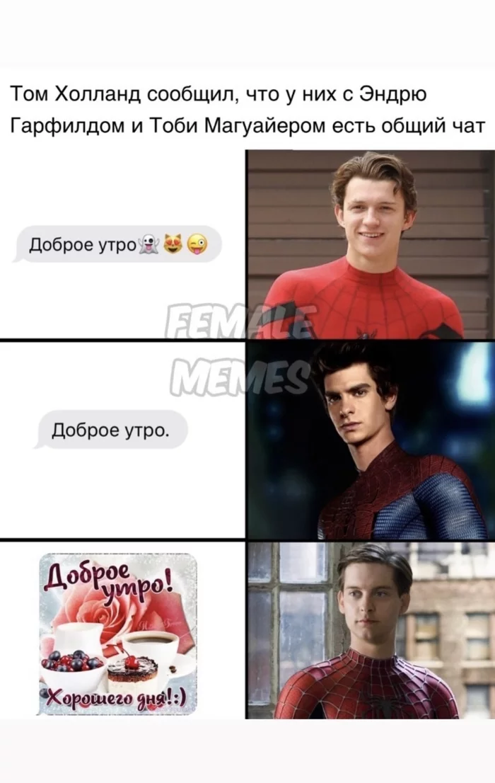 Old age is near - Memes, Spiderman, Spoiler, Tom Holland, Andrew Garfield, Tobey Maguire