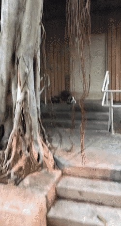   , , , 