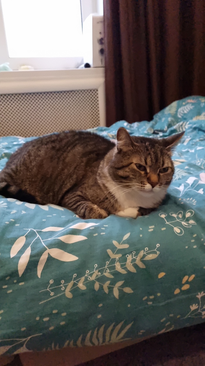 Помогите советом!