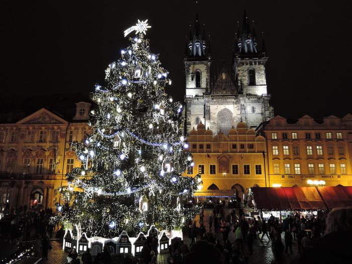 Christmas in Czech, or the golden pig, the invisible Jesus and the ritual eating of carp - My, Czech, Prague, Christmas, Traditions, Video, Longpost