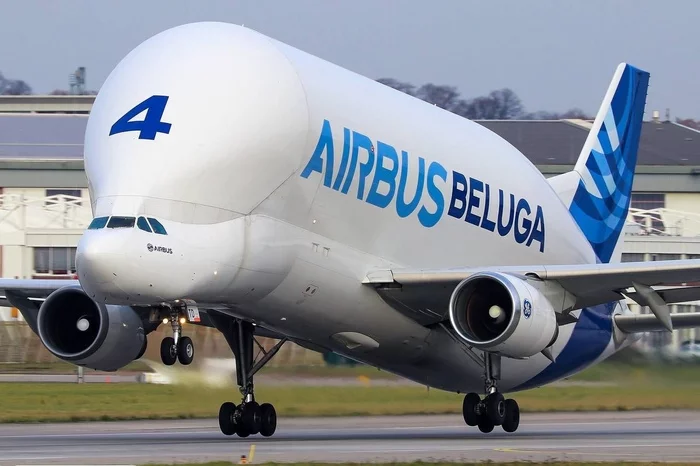 Прилёт Airbus Beluga в Россию - Airbus, Белуга, Самолет, Авиация, Новости, Airbus Beluga