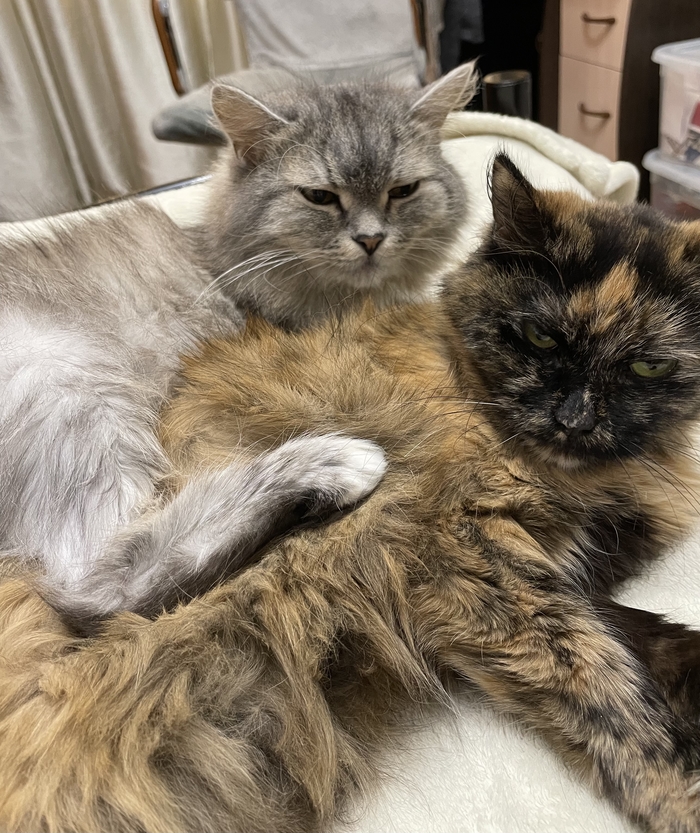 �������� ��� ���� ���� �� ����