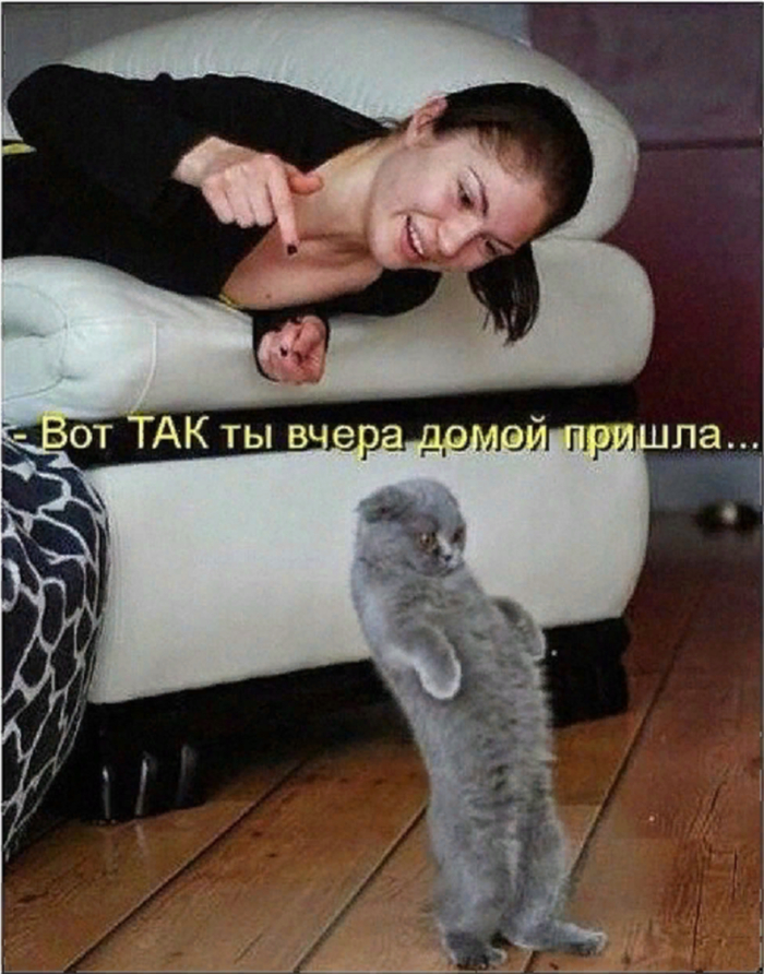 Чем пиво лучше женщины. Смотреть фото Чем пиво лучше женщины. Смотреть картинку Чем пиво лучше женщины. Картинка про Чем пиво лучше женщины. Фото Чем пиво лучше женщины