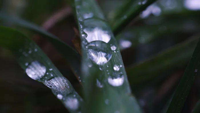 The hunt for small items has begun :) - Fujifilm, Macro photography, The photo
