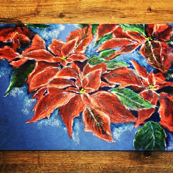 Christmas star - My, Oil pastel, poinsettia, Painting