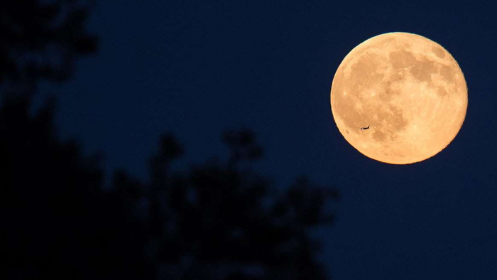   (Cold Moon) 19  2021 :      