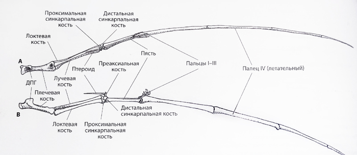 вопрос на уроке биологии что находится внутри клетки ученик негры. Смотреть фото вопрос на уроке биологии что находится внутри клетки ученик негры. Смотреть картинку вопрос на уроке биологии что находится внутри клетки ученик негры. Картинка про вопрос на уроке биологии что находится внутри клетки ученик негры. Фото вопрос на уроке биологии что находится внутри клетки ученик негры