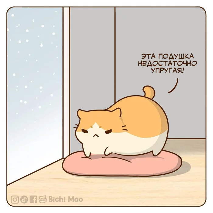 Cushion - Comics, Translation, Translated by myself, cat, Winter, Longpost, 