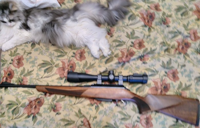      , , , 308win