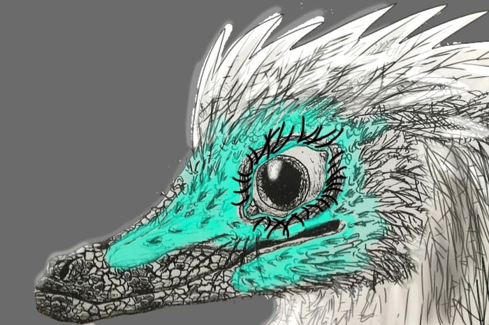 I drew the face of the Velociraptor - Dromaeosaurs, Velociraptor, Theropods, Dinosaurs, Predatory animals, Birds, Art, Drawing