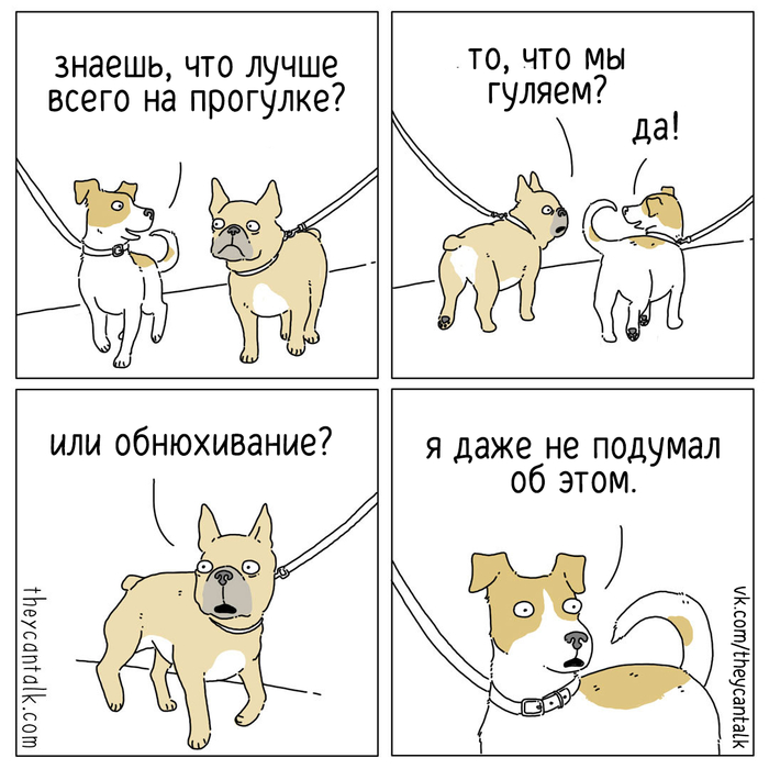 Шутки за триста что это. Смотреть фото Шутки за триста что это. Смотреть картинку Шутки за триста что это. Картинка про Шутки за триста что это. Фото Шутки за триста что это