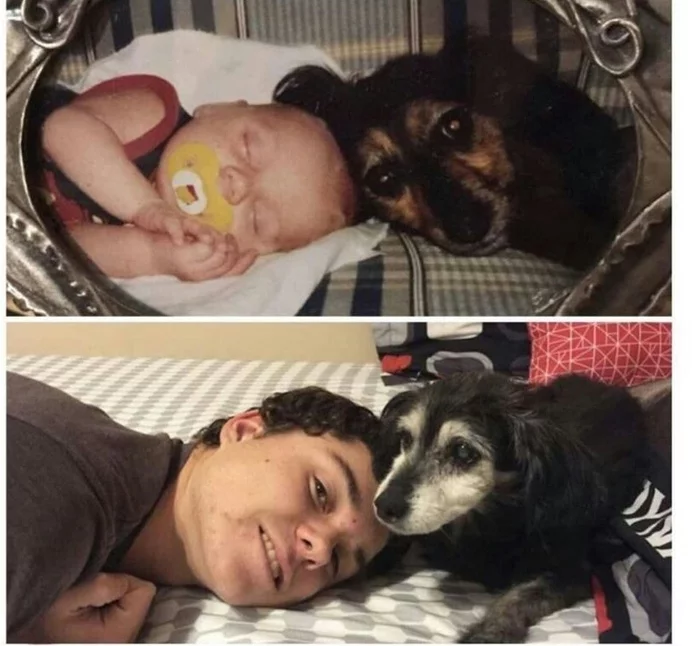 17 years later - Dog, Children, Time, Milota, Kindness, Positive, Old age, It Was-It Was