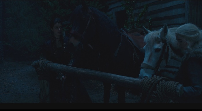    "" ...(,  )  , , Netflix, ,  , ,  