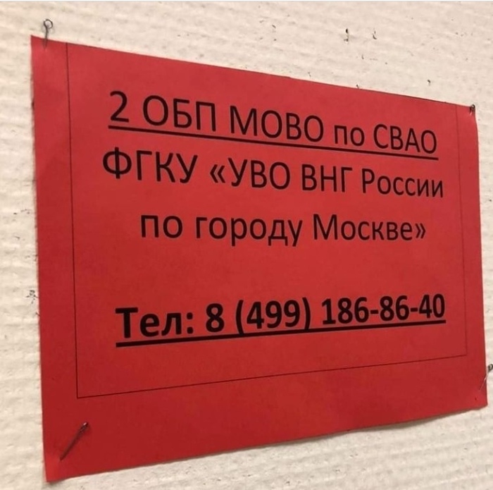 ����� ����