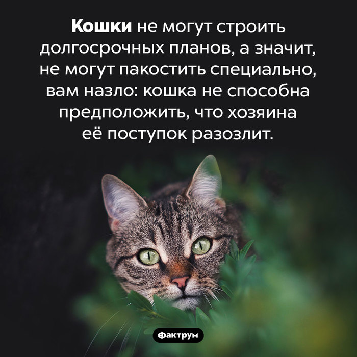 ельцин пальцы что случилось. 164008447514872225. ельцин пальцы что случилось фото. ельцин пальцы что случилось-164008447514872225. картинка ельцин пальцы что случилось. картинка 164008447514872225.