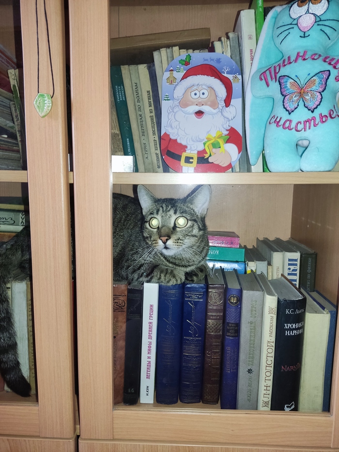 ����� �����