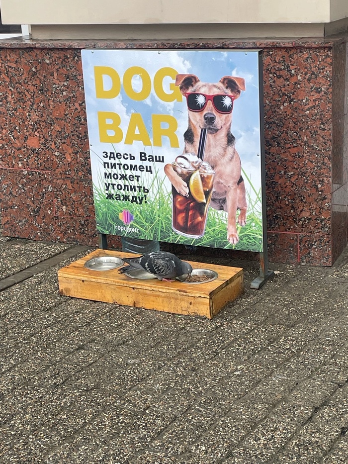 ��� �������