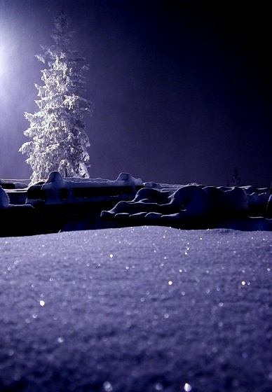 Важности детства