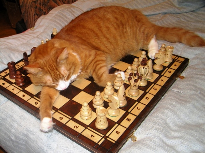 Сергей Шипов на Пикабу, 24.12 в 20:00