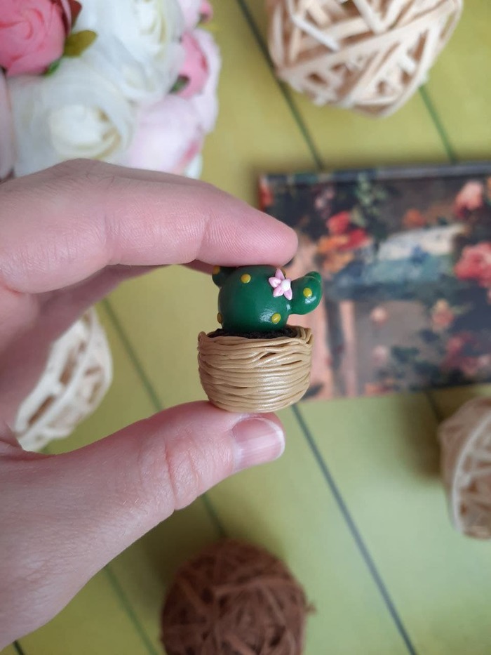 Грустная история кактуса Григория