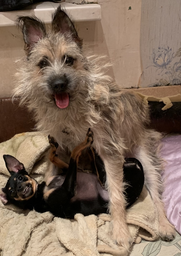 А злобности в ём агромадный объём