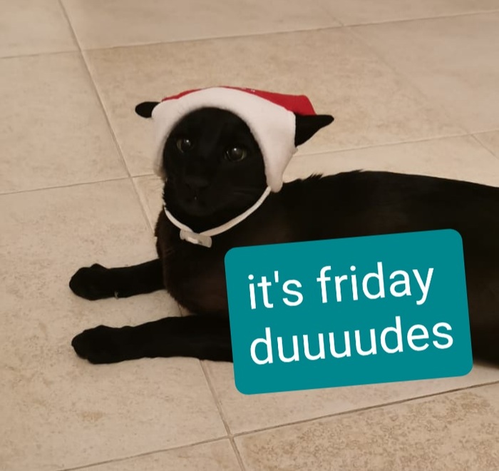 �������� �����������