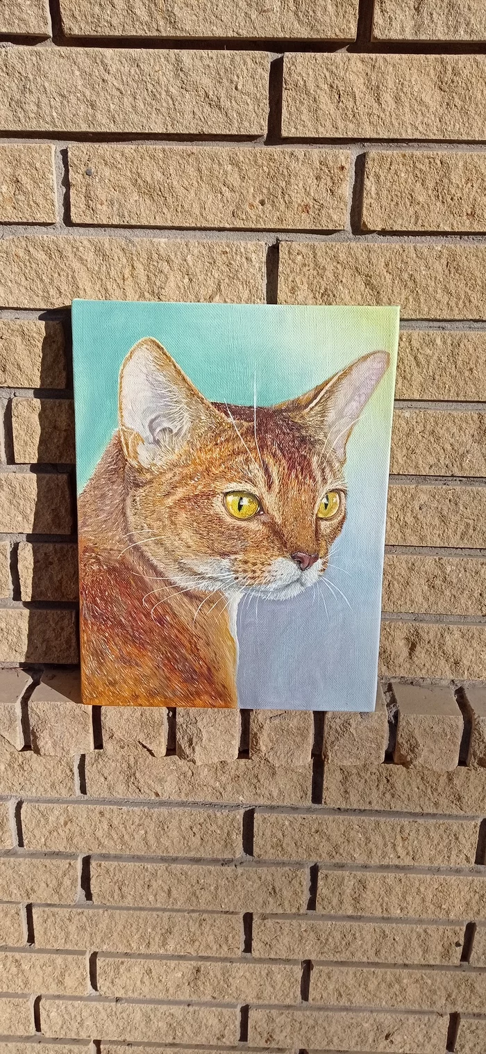 Oil painting - My, Abyssinian cat, Oil painting, Self-taught artist, Painting, Painting, Longpost