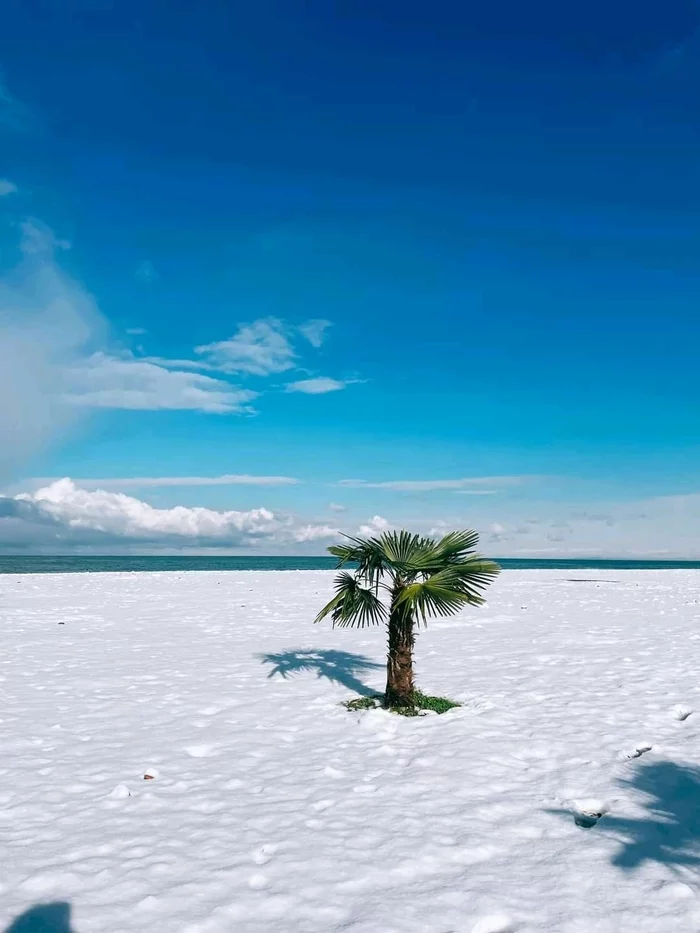 Snow in Batumi - Georgia, Batumi, Snow, Sea, Black Sea, The photo, Longpost