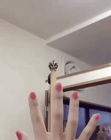   , , , , 