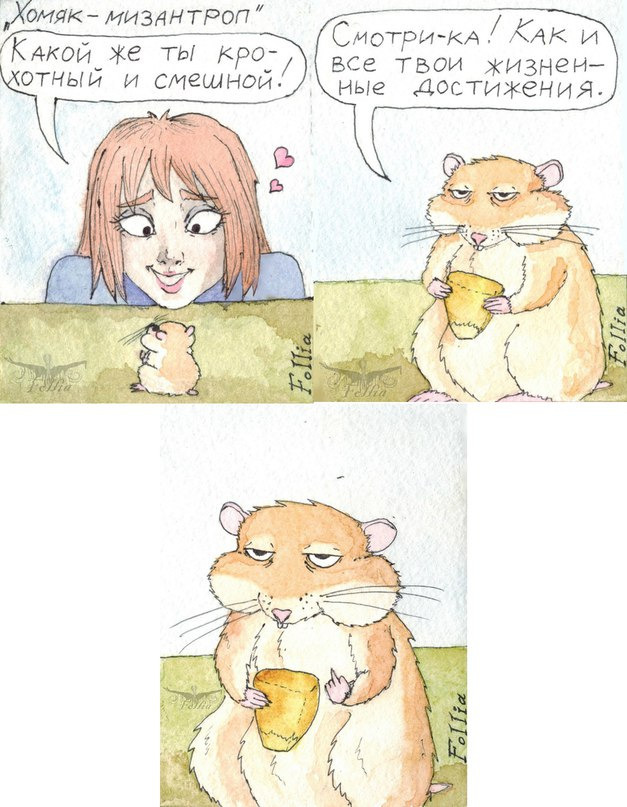 Hamster-misanthrope - Humor, Vital, Sad humor, Milota