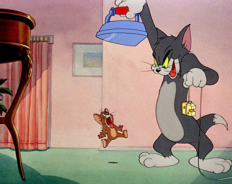 Meet my cat Tom from Jerry - My, cat, Tom and Jerry, Coincidence