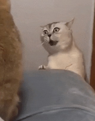 Еще раз повтори что ты сказал. Смотреть фото Еще раз повтори что ты сказал. Смотреть картинку Еще раз повтори что ты сказал. Картинка про Еще раз повтори что ты сказал. Фото Еще раз повтори что ты сказал Еще раз повтори что ты сказал. Смотреть фото Еще раз повтори что ты сказал. Смотреть картинку Еще раз повтори что ты сказал. Картинка про Еще раз повтори что ты сказал. Фото Еще раз повтори что ты сказал