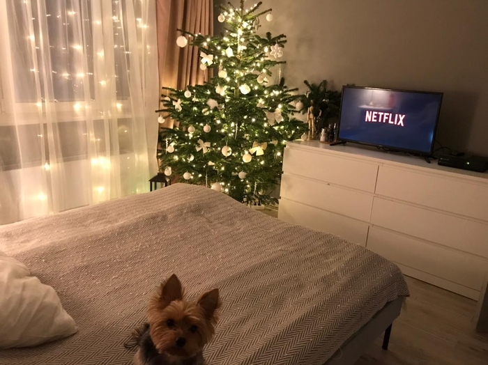 ����� ���