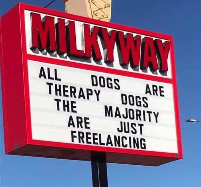 All dogs are busy with canistherapy, only most of them are freelancing - Dog, Canistherapy, Billboard, Freelance